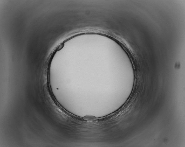 X0000099991504200806201437