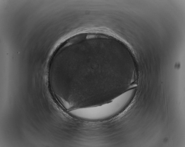 X0000099991506200806201437