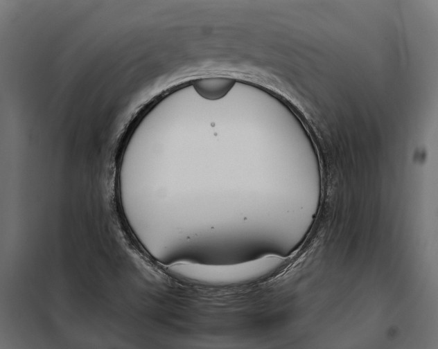 X0000099991507200806201437