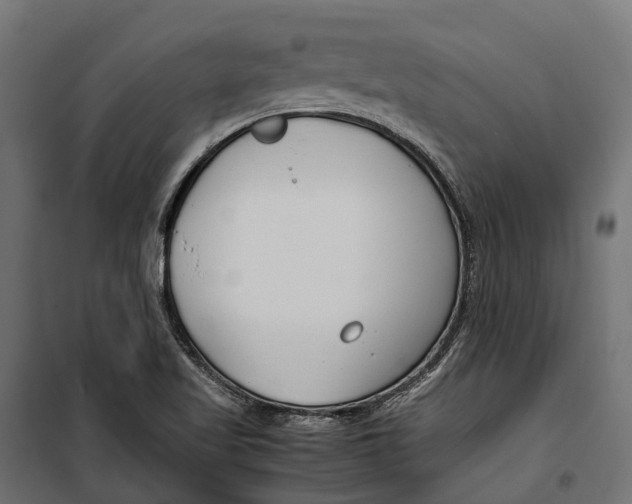 X0000099991509200806201437