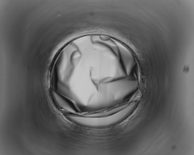 X0000099991510200806201437