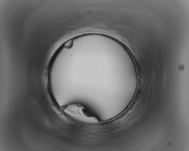 X0000099991511200806201437