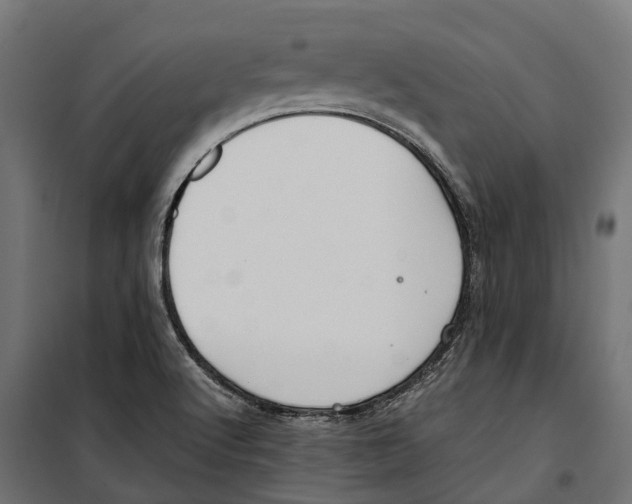 X0000099991512200806201437