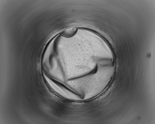 X0000099991513200806201437