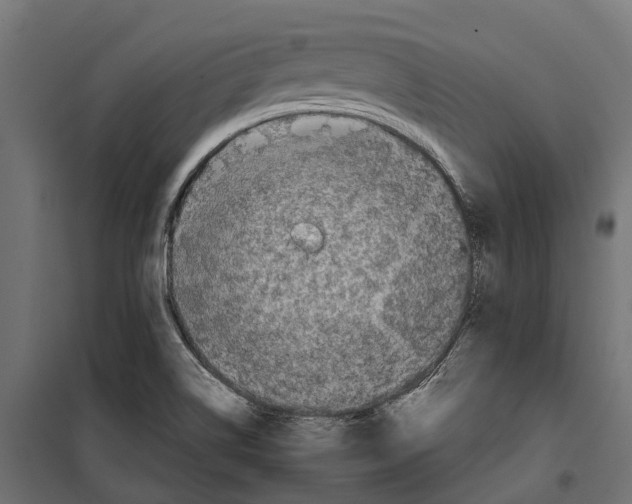 X0000099991514200806201437