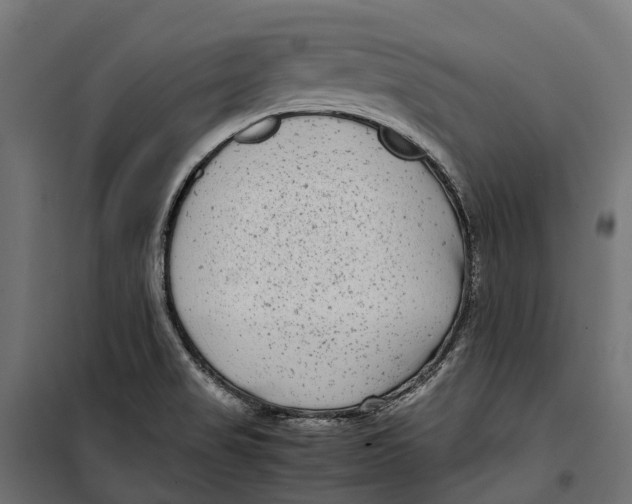 X0000099991517200806201437