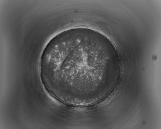 X0000099991519200806201437