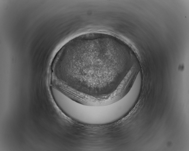 X0000099991520200806201437