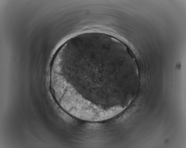 X0000099991522200806201437