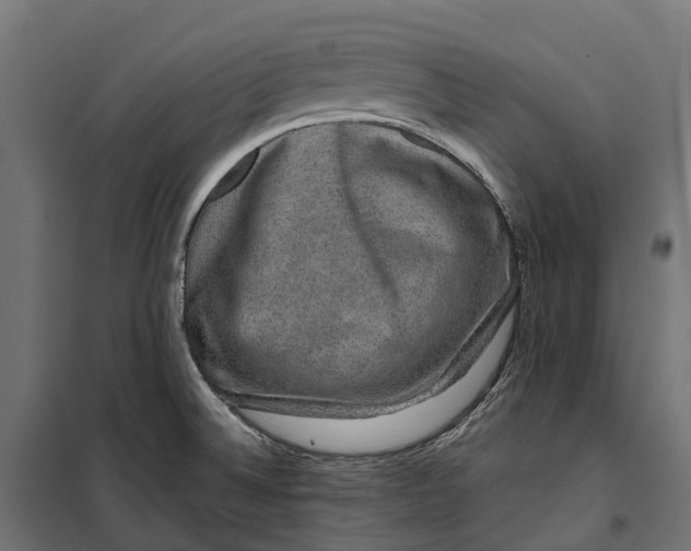 X0000099991524200806201437