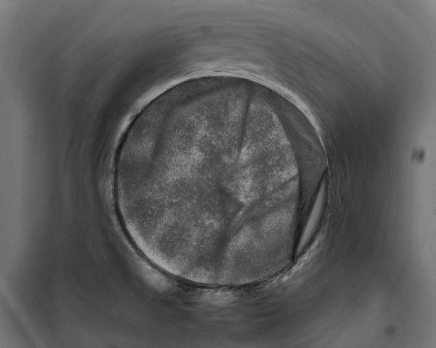 X0000099991525200806201437