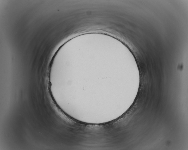 X0000099991526200806201437