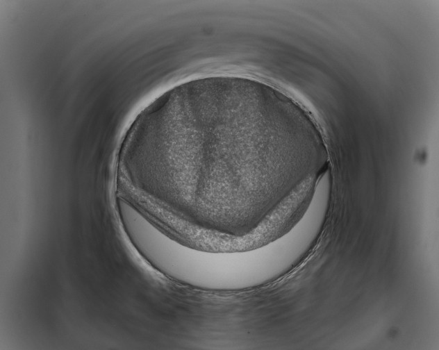 X0000099991528200806201437