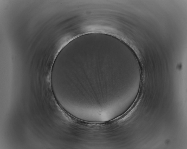 X0000099991529200806201437