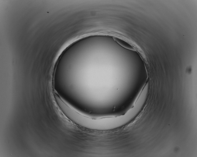 X0000099991530200806201437