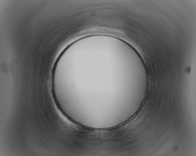 X0000099991531200806201437