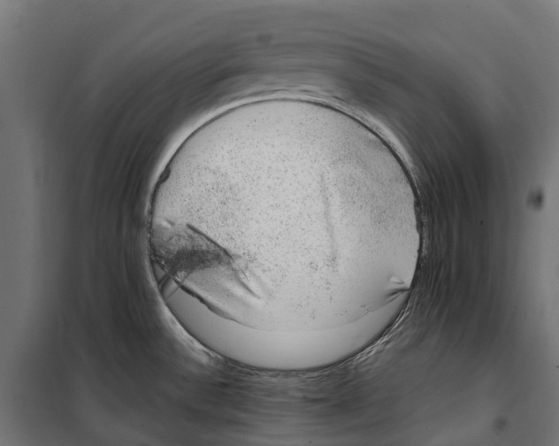 X0000099991532200806201437