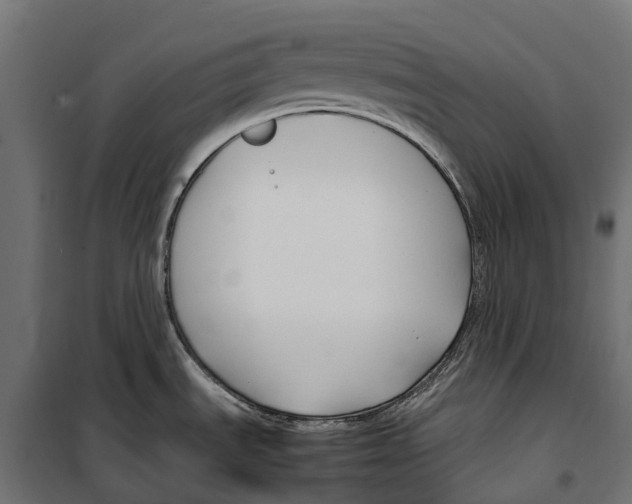 X0000099991535200806201437