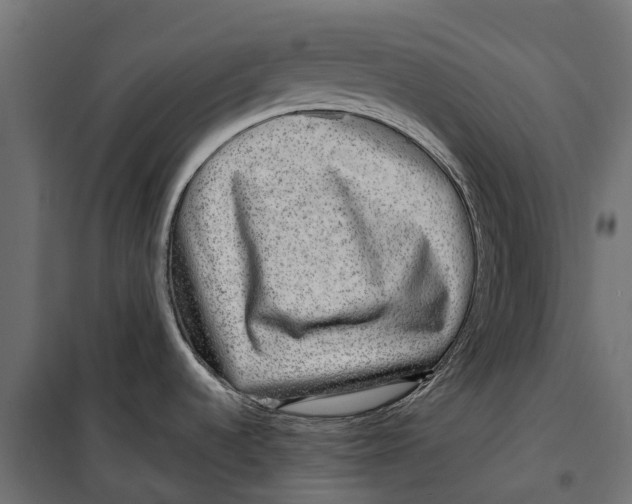 X0000099991536200806201437