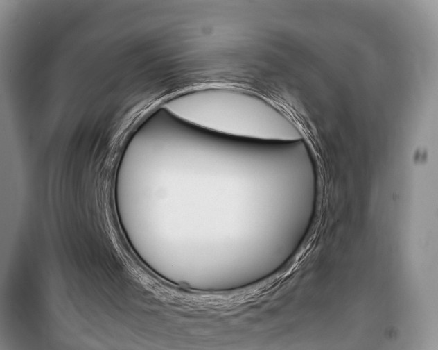 X0000100190001200805300735