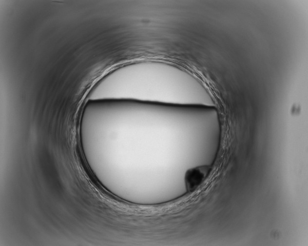 X0000100190002200805300735
