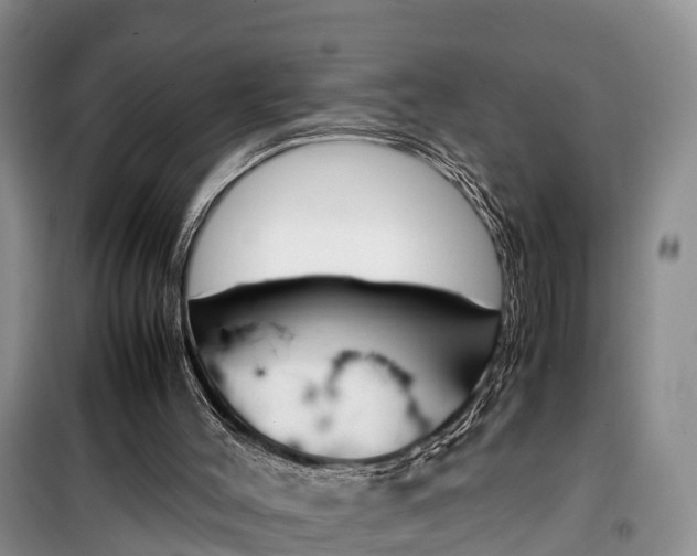 X0000100190004200805300735