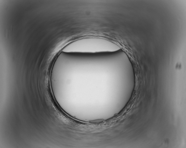 X0000100190005200805300735