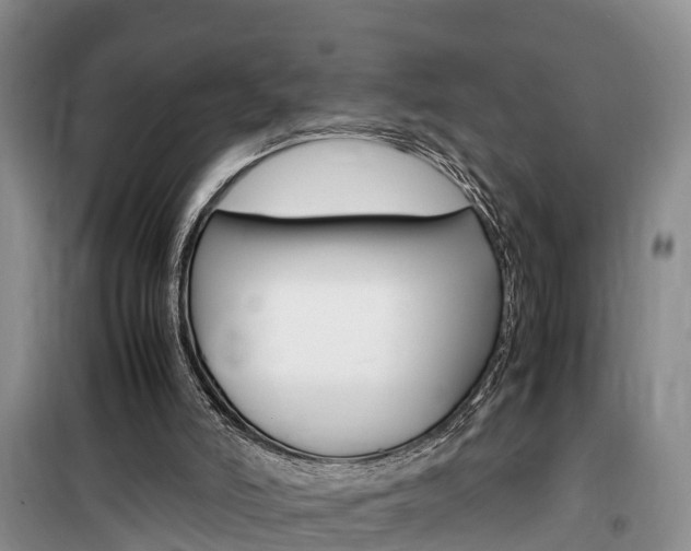 X0000100190006200805300735