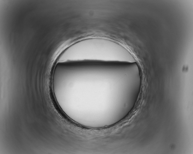X0000100190007200805300735