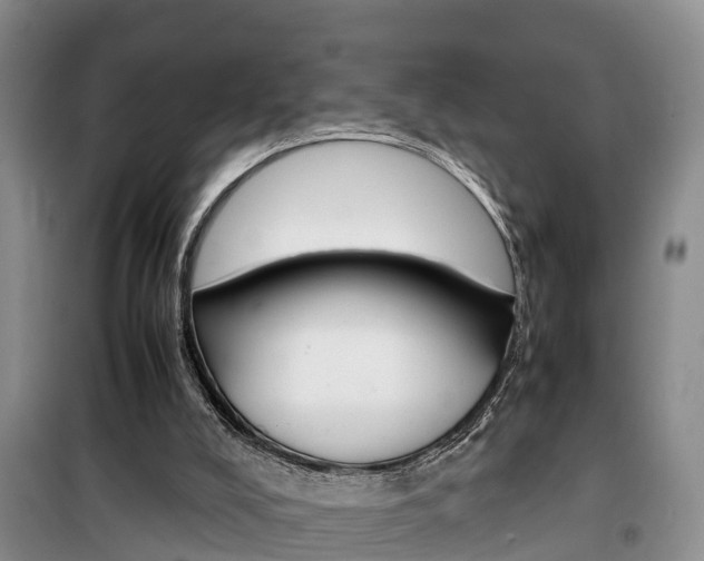 X0000100190008200805300735