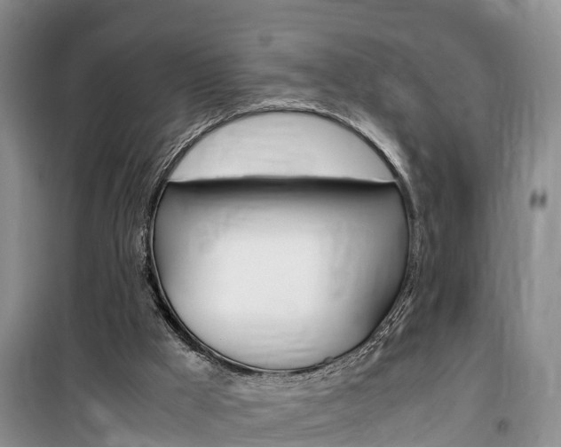X0000100190009200805300735
