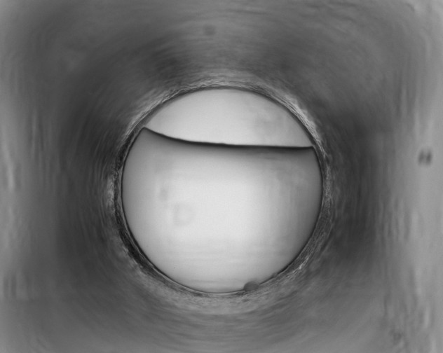 X0000100190010200805300735