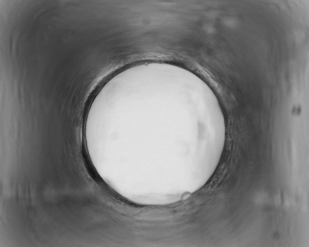 X0000100190011200805300735