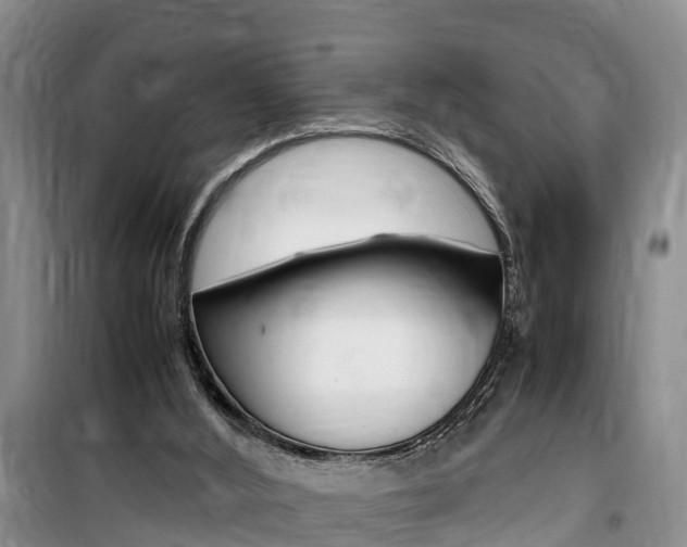 X0000100190012200805300735