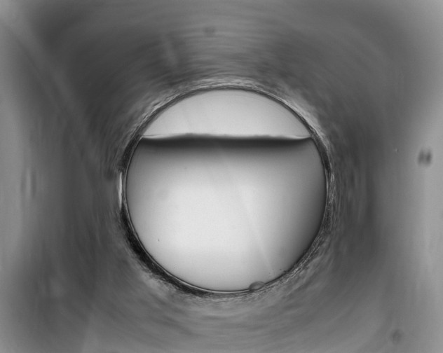 X0000100190013200805300735