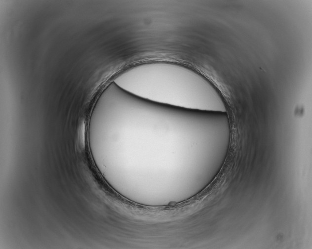 X0000100190014200805300735
