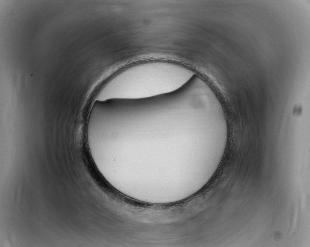 X0000100190016200805300735