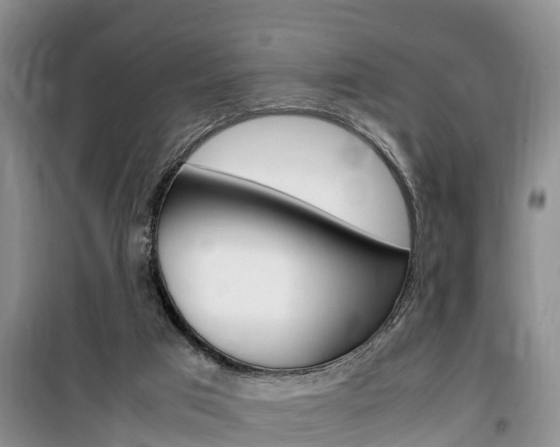 X0000100190017200805300735