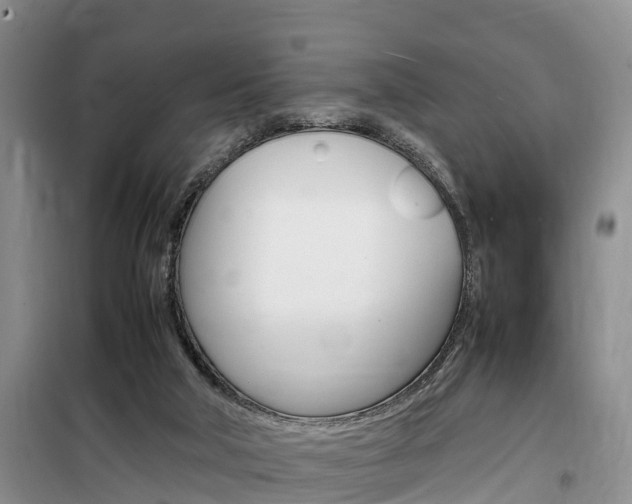 X0000100190018200805300735