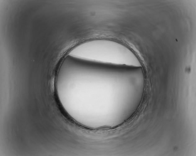 X0000100190019200805300735
