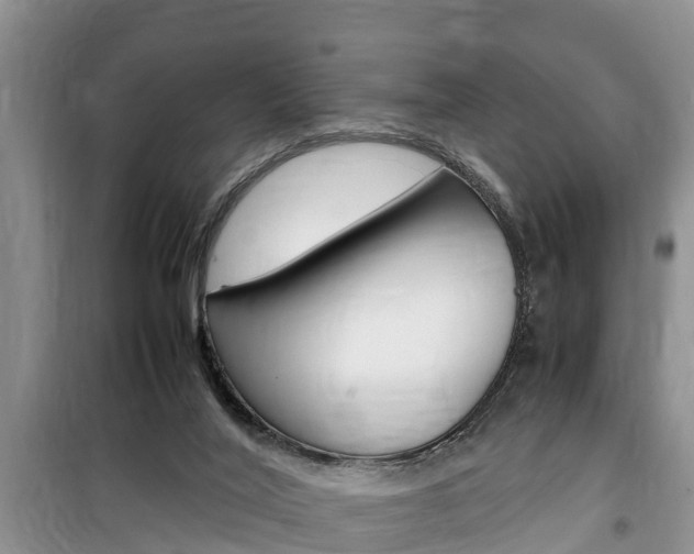 X0000100190020200805300735