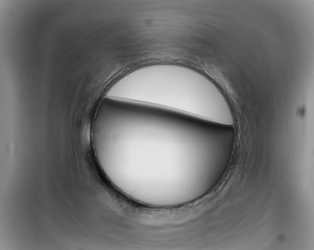 X0000100190021200805300735