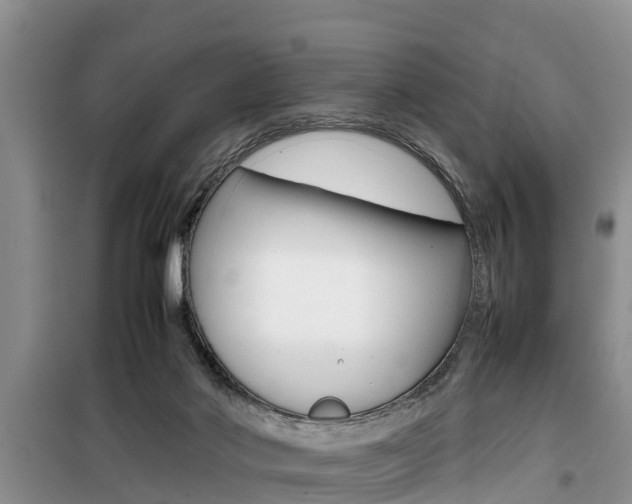 X0000100190022200805300735