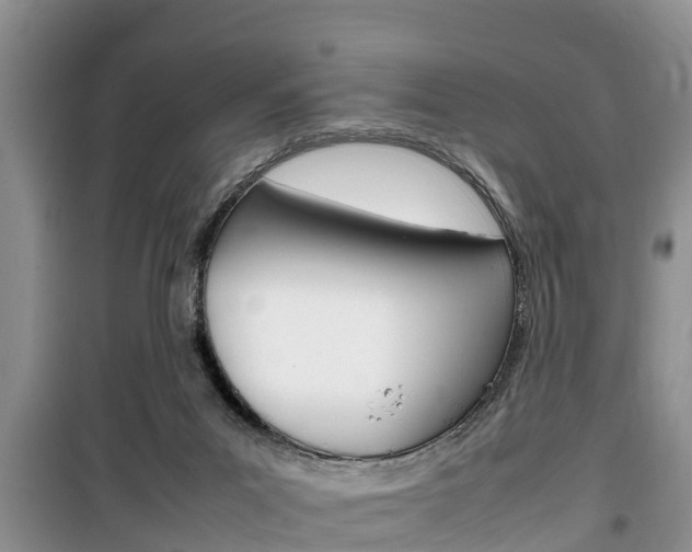 X0000100190023200805300735