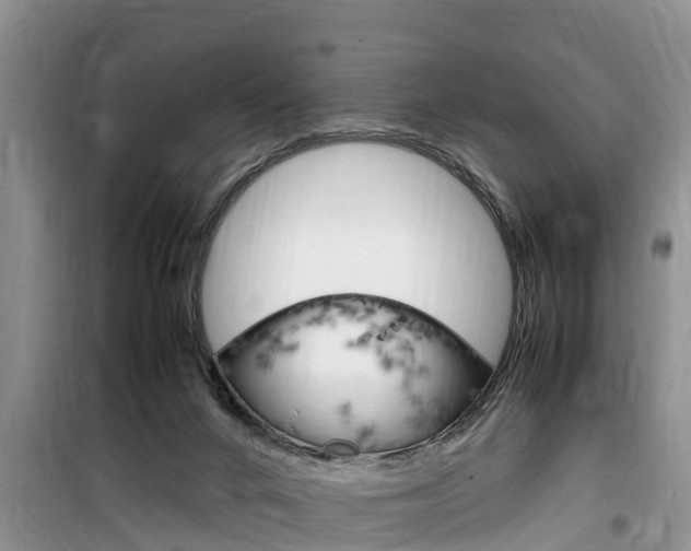 X0000100190024200805300735