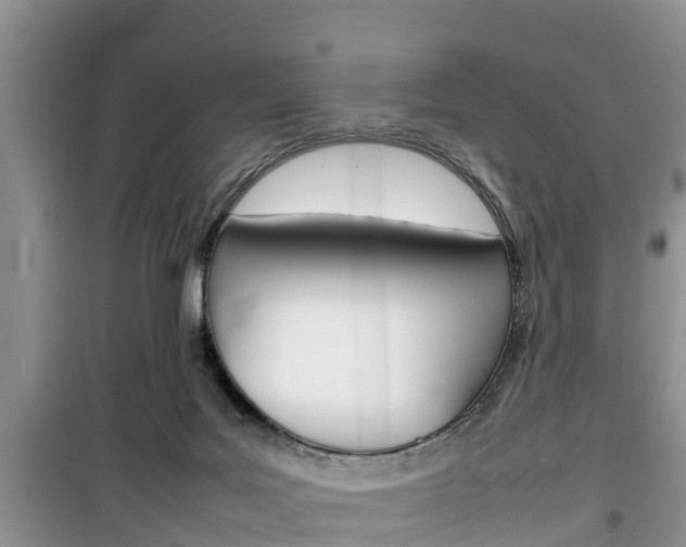 X0000100190027200805300735