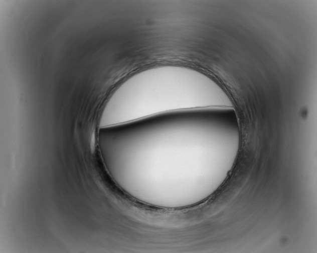X0000100190028200805300735