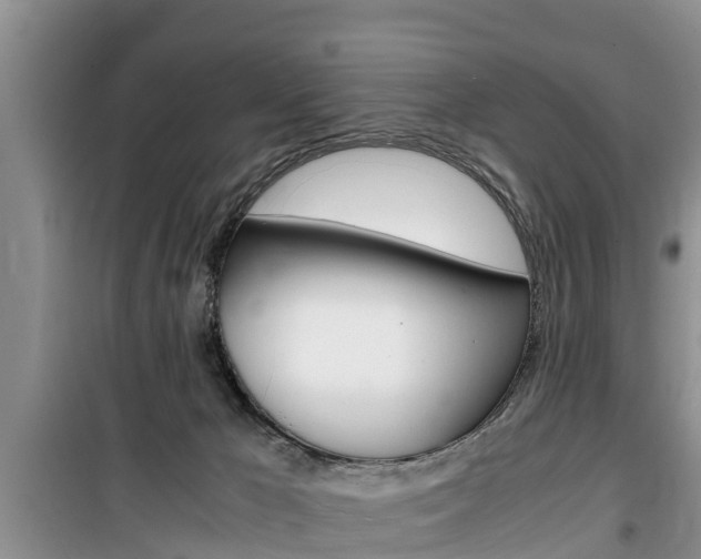 X0000100190029200805300735