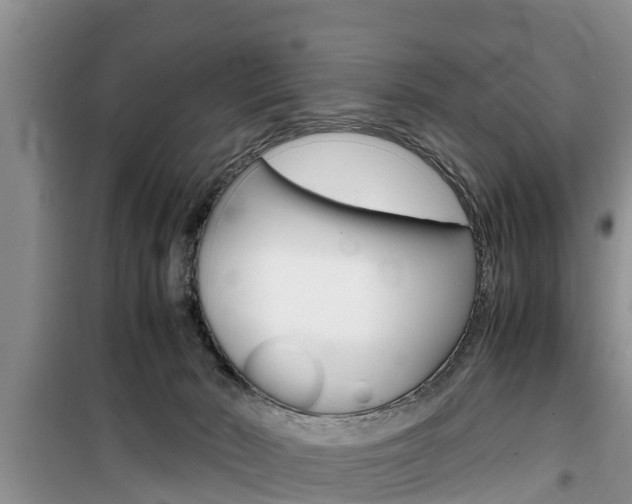 X0000100190030200805300735