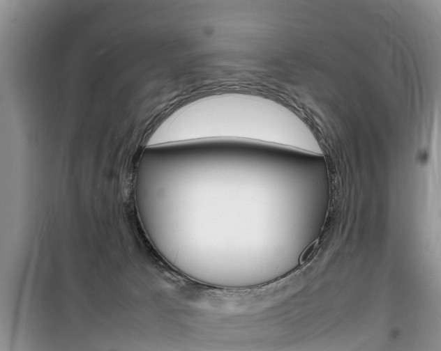 X0000100190033200805300735